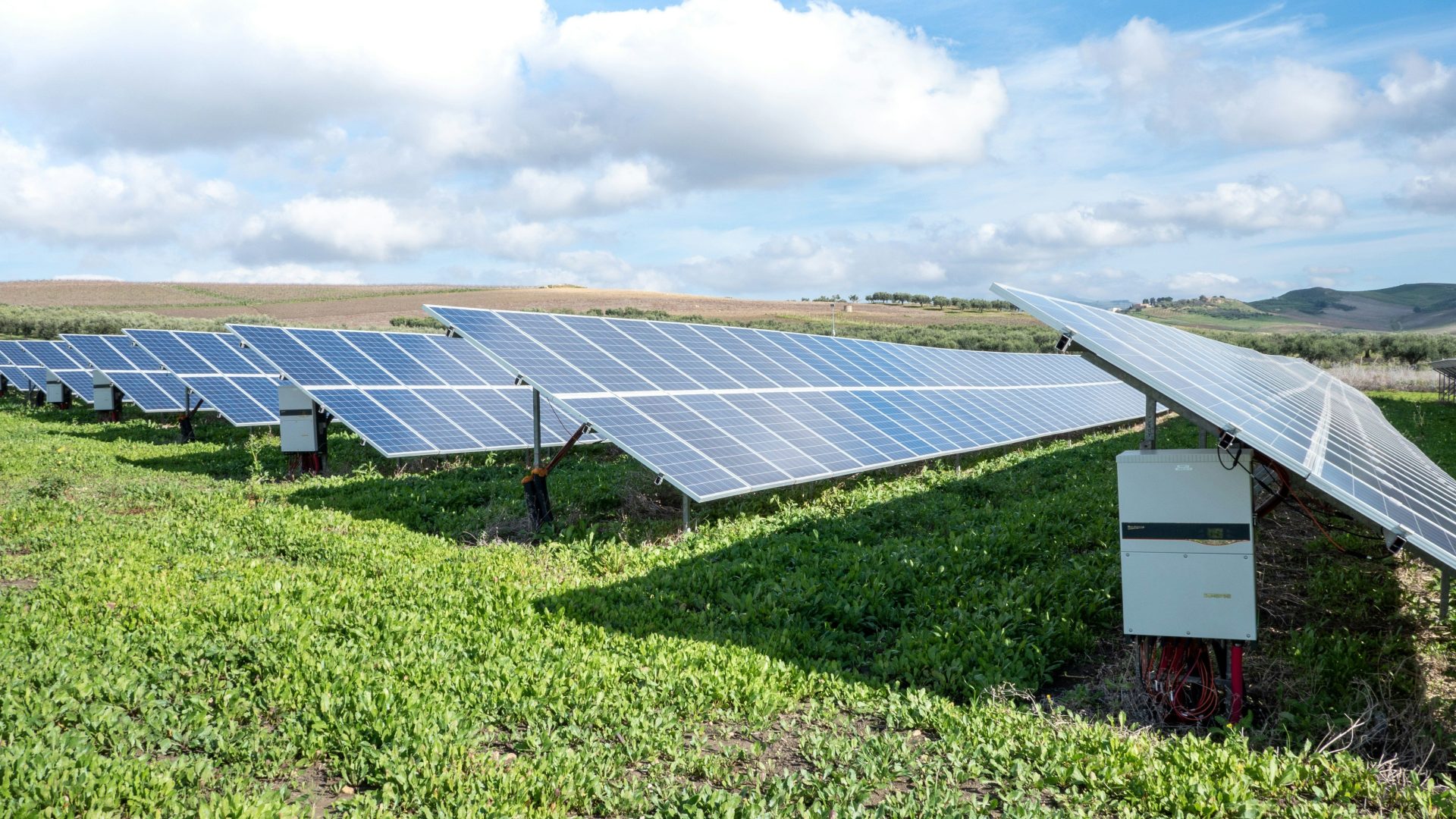 Blaue Solarmodule auf einer grünen Wiese unter weißen Wolken und blauem Himmel bei Tageslicht.